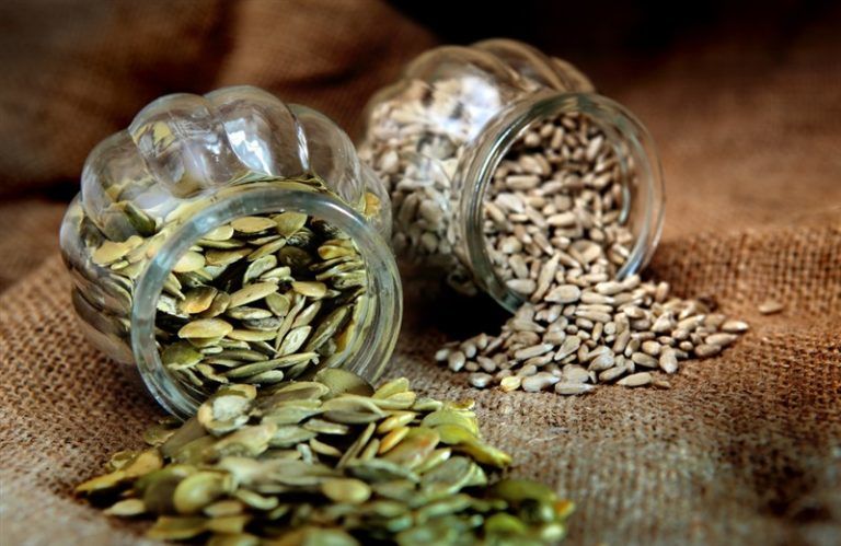 Tohum Nasıl Saklanır? Tohumların Muhafaza Ömrü Ne Kadardır?