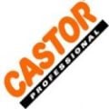 CASTOR
