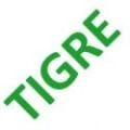 TIGRE