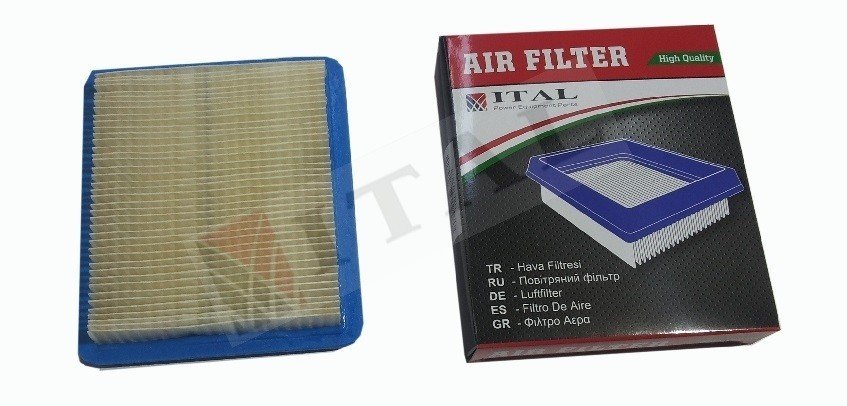 ITL-HAVA FİLTRESİ B&S 5/6HP QUANTUM