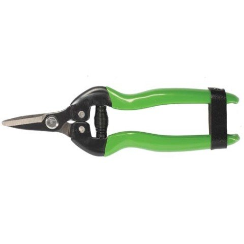 FORMOSA MEYVE TOPLAMA MAKASI KÜT,KISA BIÇAKLI / BUDAMA MAKASI BUDAMA GRUBU /  / 24207