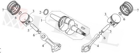 ITL-SEKMAN TAKIMI LC2V78F 20HP 78MM