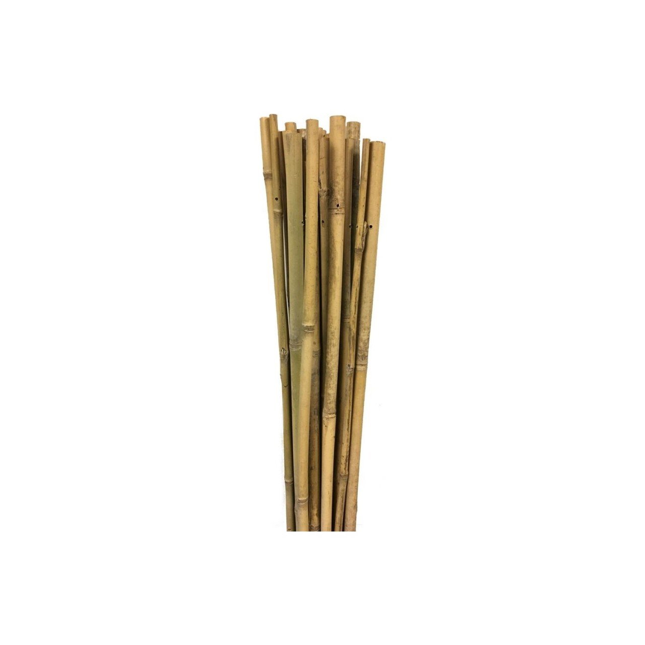 Gardener 63717 Bambu Destek Çubuğu 12-14 mm X 150 cm