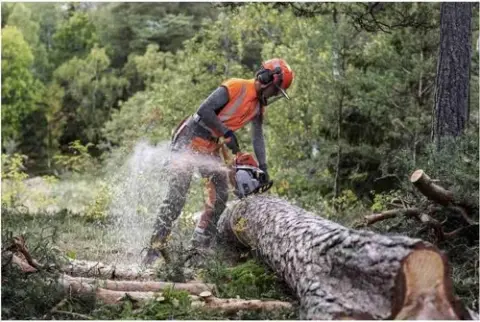Husqvarna 550 XP Motorlu Testere