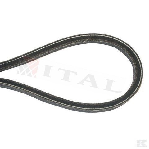 ITL-ŞANZIMAN HAREKET KAYIŞI CASTEL GARDEN TC102/122