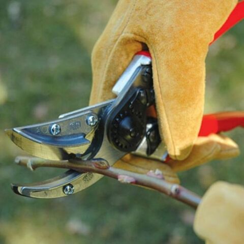 FELCO 100 BUDAMA MAKASI / BUDAMA MAKASI BUDAMA GRUBU /  / FELCO 100