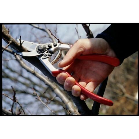 FELCO 13 BUDAMA MAKASI / BUDAMA MAKASI BUDAMA GRUBU /  / FELCO 13