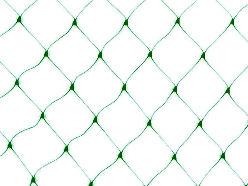 Intermas 120018 BIRDNET 8x10 m 18x18 mm UV Filtreli Kuştan Koruma Ağı Paketli (PP)