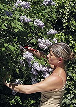 FELCO 160L BUDAMA MAKASI / BUDAMA MAKASI BUDAMA GRUBU /  / FELCO 160L