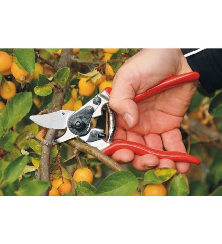 FELCO 6 BUDAMA MAKASI / BUDAMA MAKASI BUDAMA GRUBU /  / FELCO 6