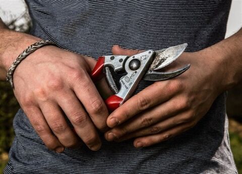 FELCO 8 BUDAMA MAKASI / BUDAMA MAKASI BUDAMA GRUBU /  / FELCO 8