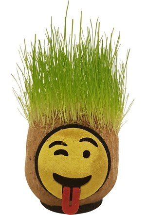 Çimcik 9210 Çim Kafa Mini