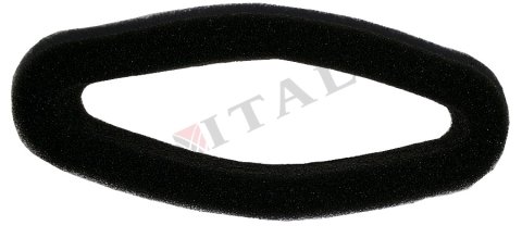 ITL-HAVA FİLTRESİ ORAC CG555 YAN TIRPAN (SÜNGER)