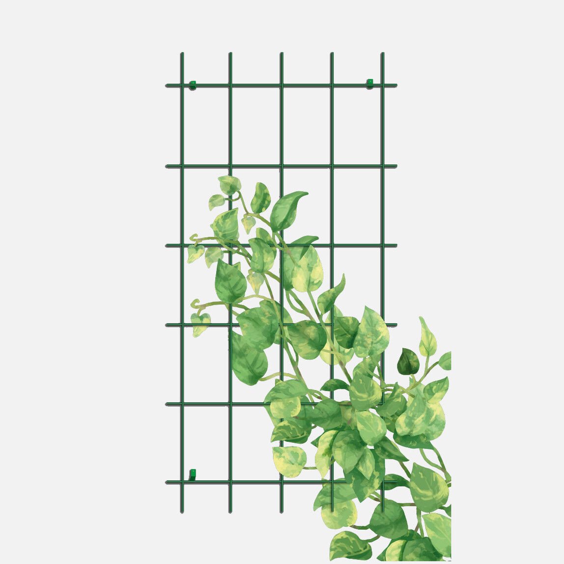 Gardener 74075 Sarmaşık Bitkilere Özel Metal Tırmanma Kafesi  - Yeşil 150cm X 75cm