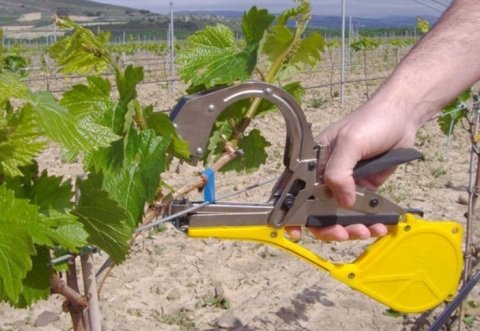 SIMES BİTKİ BAĞLAMA TABANCASI / MANUEL BİTKİ BAĞLAMA TABANCASI /  / 3820145