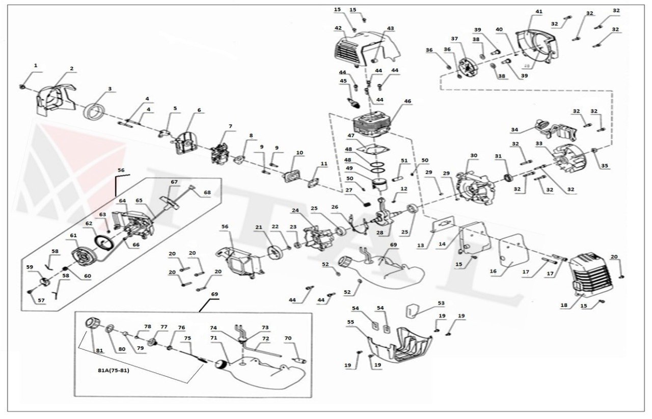 ITL-EGZOZ MUHAFAZA KAPAĞI ORAC CG555 YAN TIRPAN