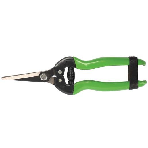 FORMOSA MEYVE TOPLAMA MAKASI KARBON BIÇAKLI 19cm / BUDAMA MAKASI BUDAMA GRUBU /  / 24205