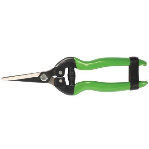 FORMOSA MEYVE TOPLAMA MAKASI KARBON BIÇAKLI 19cm / BUDAMA MAKASI BUDAMA GRUBU /  / 24205