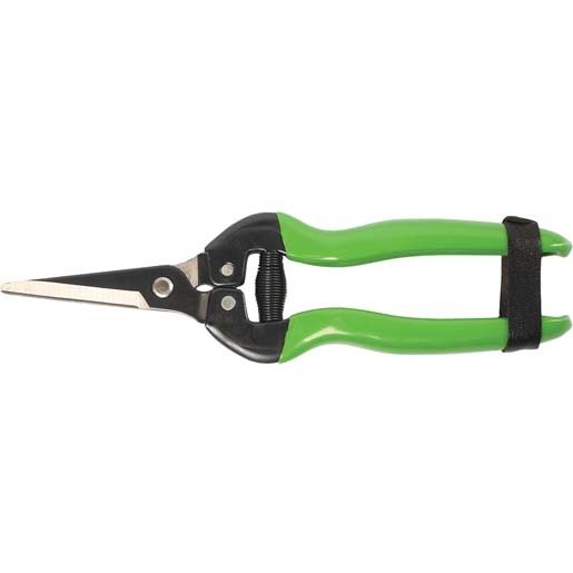 FORMOSA MEYVE TOPLAMA MAKASI EĞİK AĞIZ 19cm / BUDAMA MAKASI BUDAMA GRUBU /  / 24206