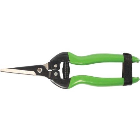 FORMOSA MEYVE TOPLAMA MAKASI EĞİK AĞIZ 19cm / BUDAMA MAKASI BUDAMA GRUBU /  / 24206